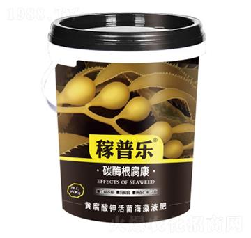 ̼ø������-���՘�-��(r��n)�ɷʘI(y��)