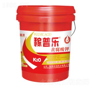 �S�����-���՘�-���ɷʘI(y��)