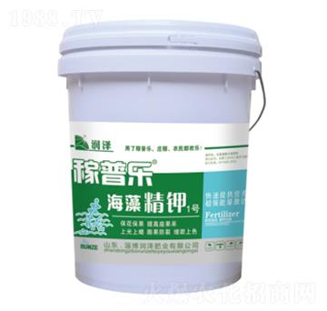 ���徫�1̖(h��o)-���՘�-��(r��n)�ɷʘI(y��)