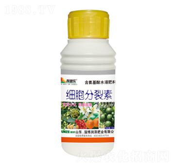 ����������-���՘�-���ɷʘI(y��)