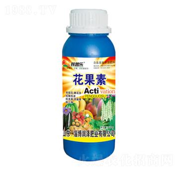 ������-���՘�(l��)-��(r��n)�ɷʘI(y��)