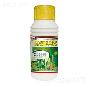 ��������-���՘�-��(r��n)�ɷʘI(y��)