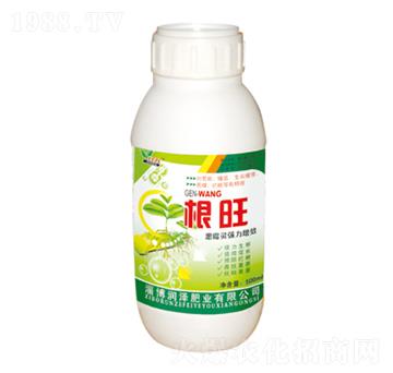 �����~���-���՘�-���ɷʘI(y��)