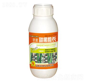 ������ڴ��L(zh��ng)-��(r��n)�ɷʘI(y��)