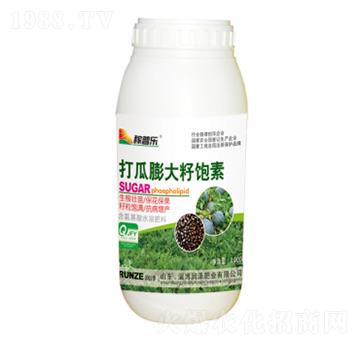 �����������-���՘�(l��)-��(r��n)�ɷʘI(y��)