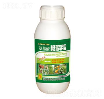 ƿ�b����������֬-��(r��n)�ɷʘI(y��)