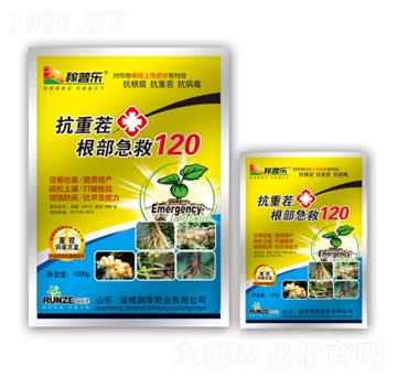 ���ز��������120-���՘�-���ɷʘI(y��)