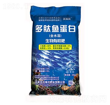 �����~����-�ָ���