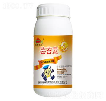 �|̦�أ��S��-�h�|����