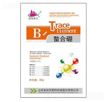 ������-�h�|����