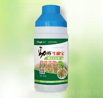 ������-�|������