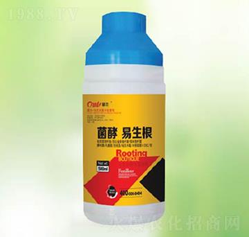 ����������-�|����(r��n)��