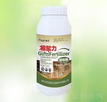 ������-�|������