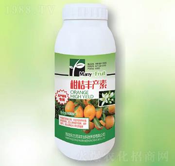 �̽��S�a(ch��n)��-�|������