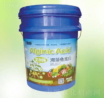 �����~����-�|������