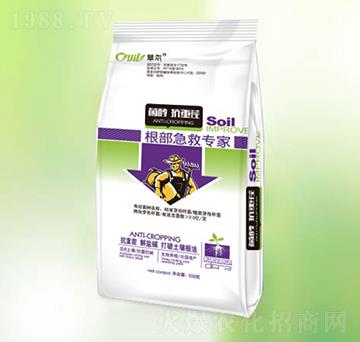 �������Ȍ���-�|������