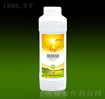 �Ǵ��V-��������