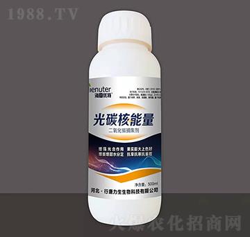 ��̼������-������(y��u)��-��������