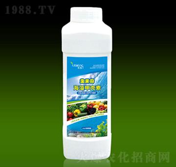 ����ך���-��������