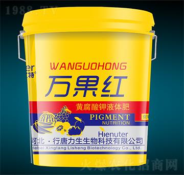 �S�����Һ�w��-�f���t-��������