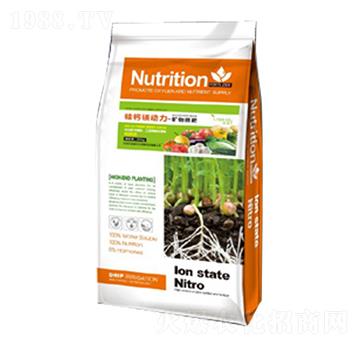 ��΢���V���-���}�V����-��������