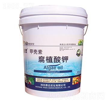 �ך��ظ�ֲ���-̩�_�r(n��ng)