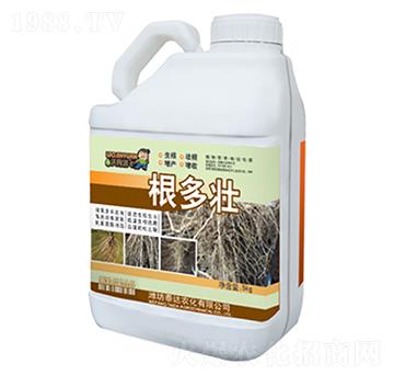 ������-̩�_�r(n��ng)��