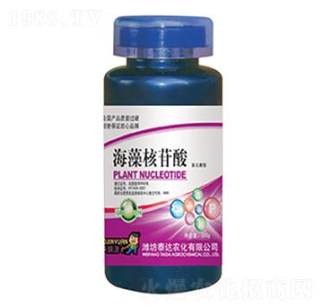 ���������-̩�_�r(n��ng)��