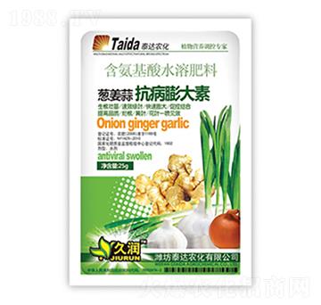 �[���⿹�������-̩�_