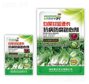 �ײ˸��{���L����������