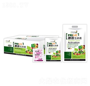 ����������+�T����-̩