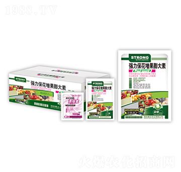 �����������������-̩