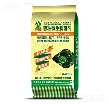 �w��΢�������-���ʢԴ