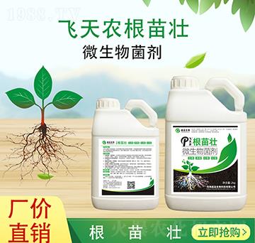 �����-��Ʒ����