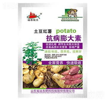 �����t�����������-�h�|����