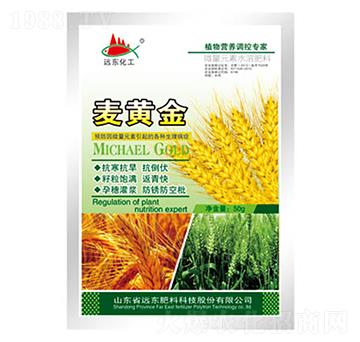 ���S��-�h�|����