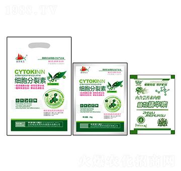 ��(x��)�������ؽM��-�h(yu��n)�|����