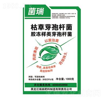 ΢�������-����-����