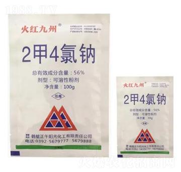 56%2��4���c�ۄ�-��t����-����ꖹ�