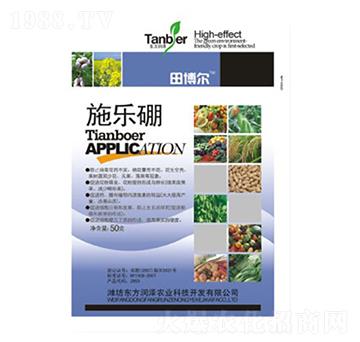 ʩ����-�|����(r��n)��