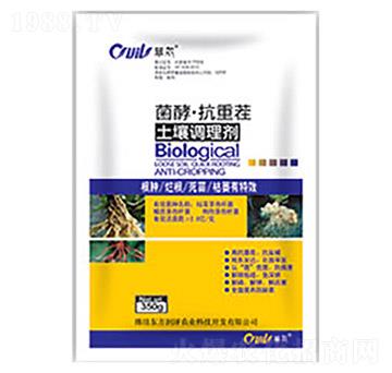 ���͡����ز������{(di��o)��(ji��)��-�|������