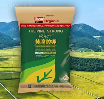 �ɠ����S�����-�A�Z(li��n)��