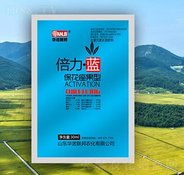 �������{�����������ͣ�-�A�Z��