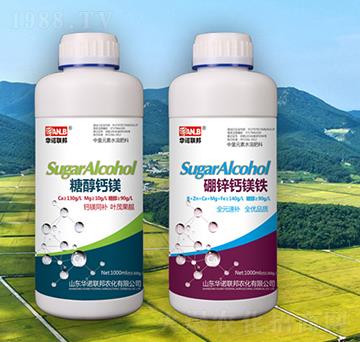 �Ǵ��}�V-�A�Z��