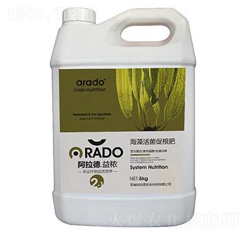 �������ٸ���-������