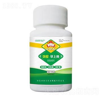 �����w-���Ԫ