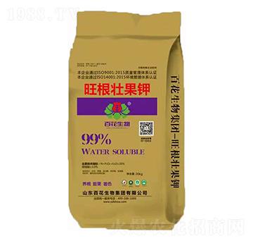 �����ѹ��-�ٻ�����