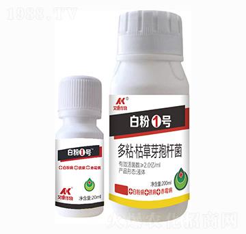 ��ճ���ݲ�ѿ�ߗU��-�׷�1̖-��������