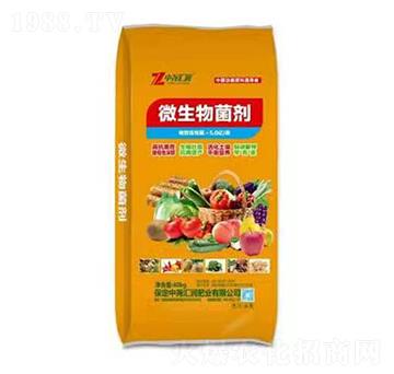 ΢������� �Ј�R��(r��n)