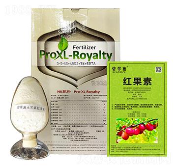 �̴�ʩ���t���� ����r�I(y��)